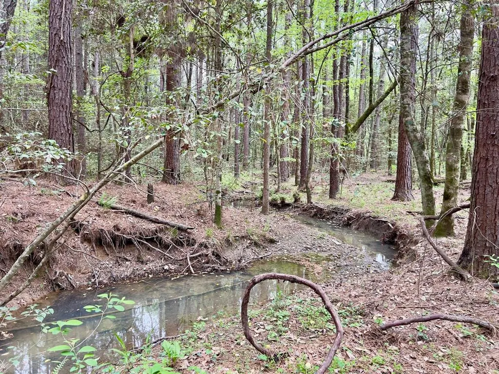 Photo 8 — 60 Trout Creek Road, Watson, OK 74963