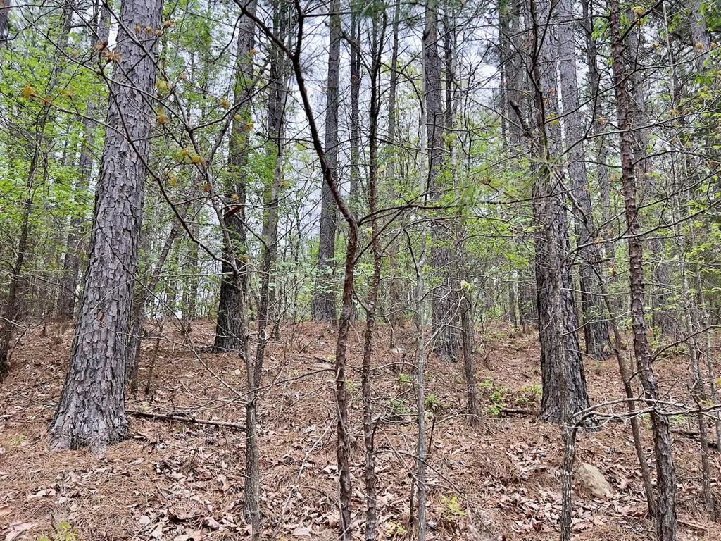 Photo 15 — 60 Trout Creek Road, Watson, OK 74963