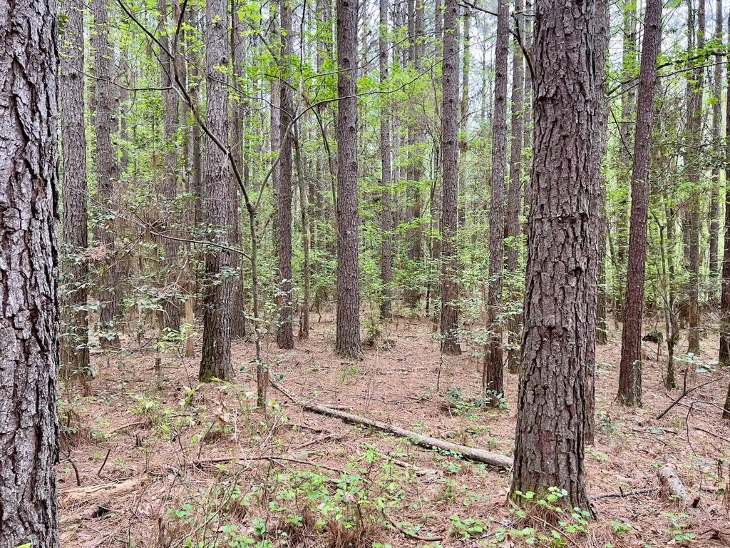 Photo 23 — 60 Trout Creek Road, Watson, OK 74963