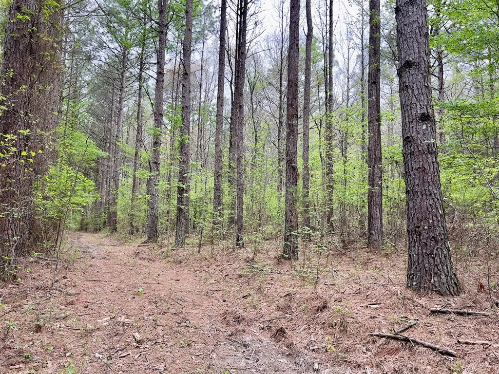Photo 24 — 60 Trout Creek Road, Watson, OK 74963