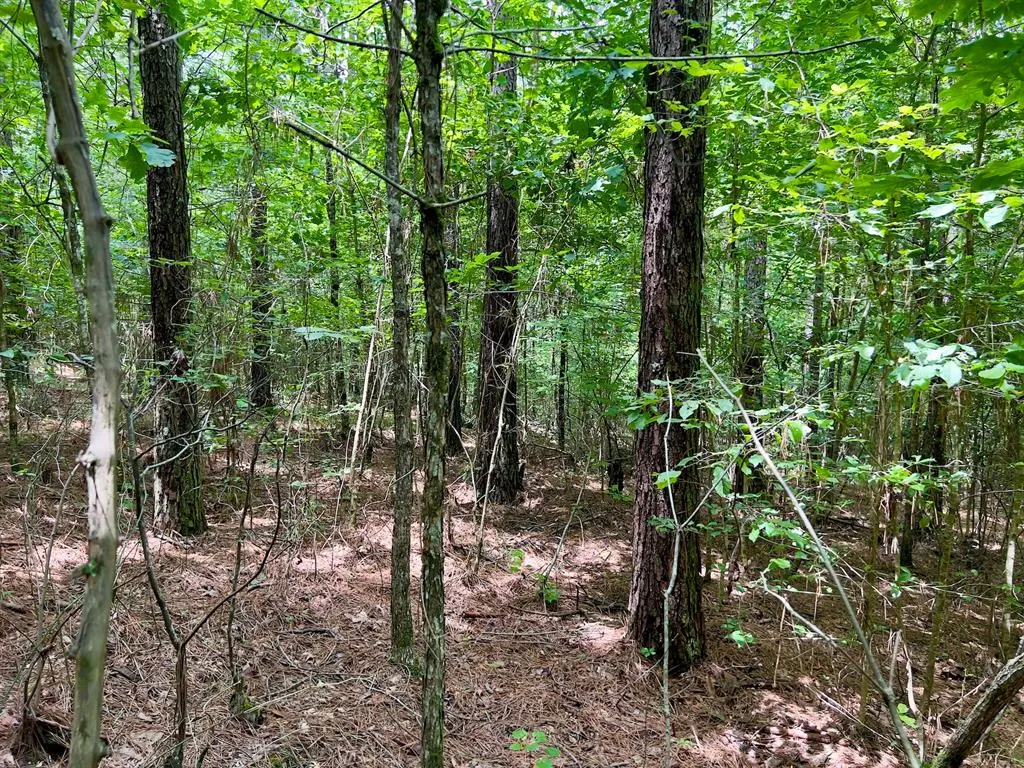 Photo 32 — 60 Trout Creek Road, Watson, OK 74963