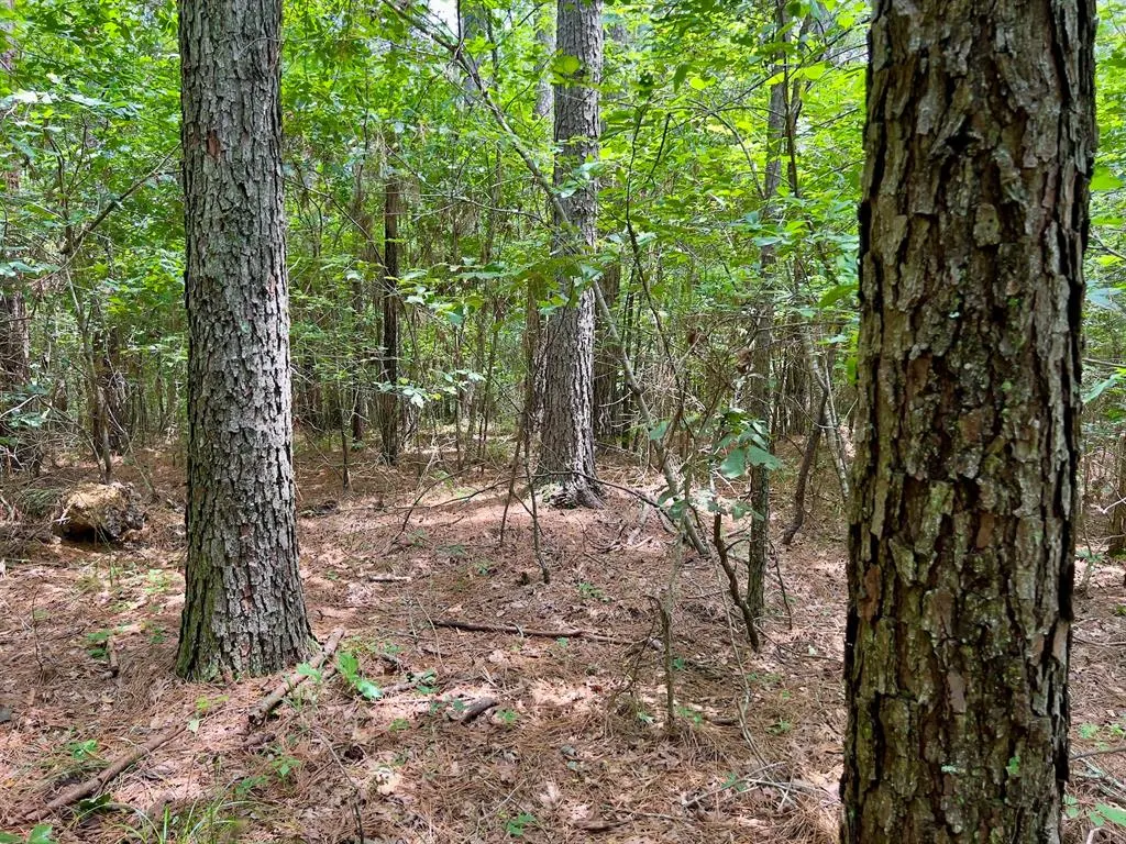 Photo 34 — 60 Trout Creek Road, Watson, OK 74963