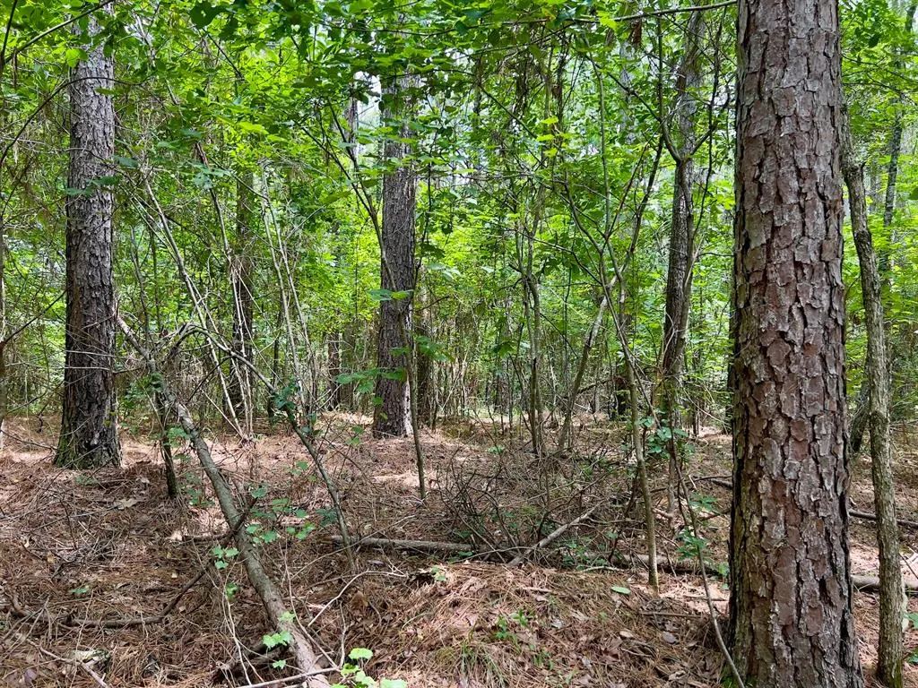 Photo 37 — 60 Trout Creek Road, Watson, OK 74963
