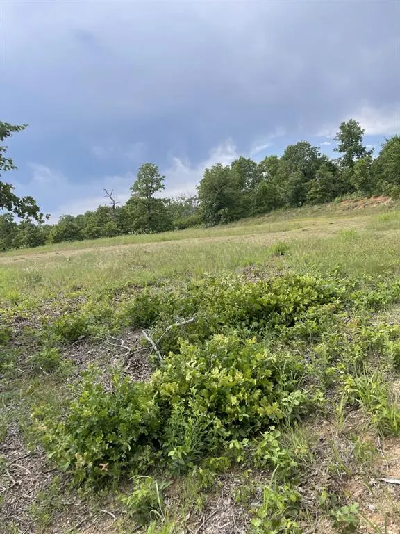 Photo 3 — 17171 Hickory Trail, Newalla, OK 74857