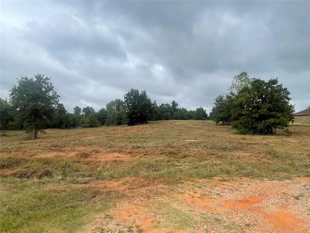 Photo 4 — 17171 Hickory Trail, Newalla, OK 74857