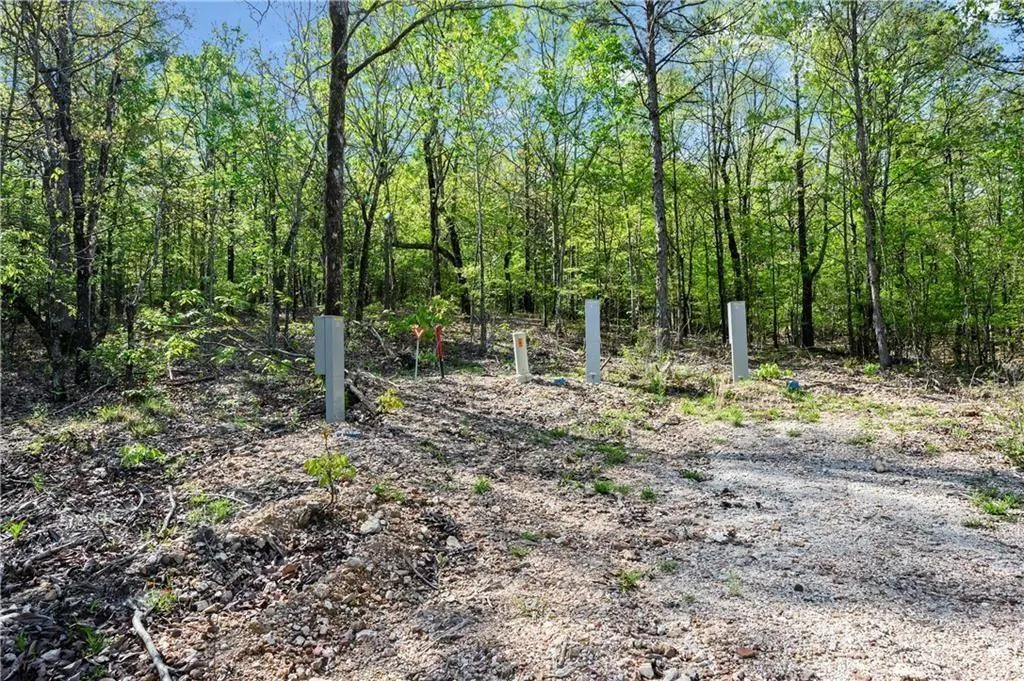 Photo 2 — 50 AJ Cedar Trail, Hochatown, OK 74728