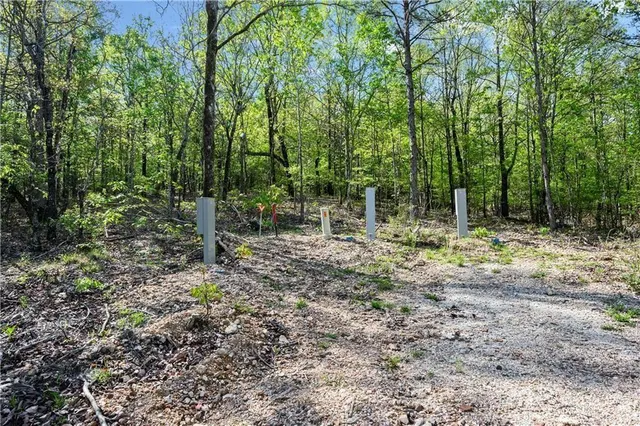 Photo 2 — 50 AJ Cedar Trail, Hochatown, OK 74728