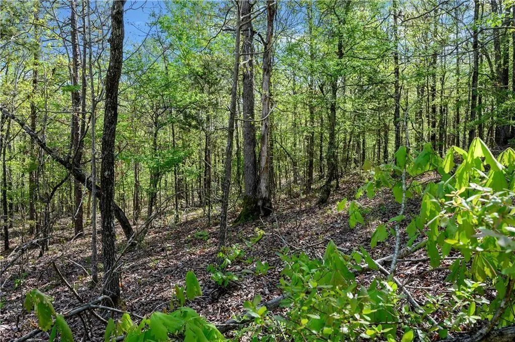 Photo 4 — 50 AJ Cedar Trail, Hochatown, OK 74728