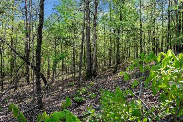 Photo 4 — 50 AJ Cedar Trail, Hochatown, OK 74728