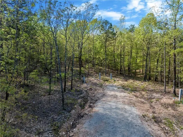 Photo 5 — 50 AJ Cedar Trail, Hochatown, OK 74728