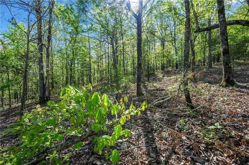 Photo 6 — 50 AJ Cedar Trail, Hochatown, OK 74728