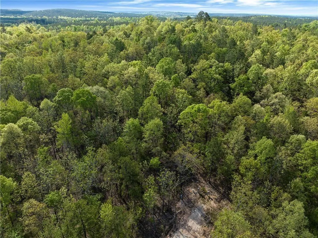Photo 11 — 50 AJ Cedar Trail, Hochatown, OK 74728