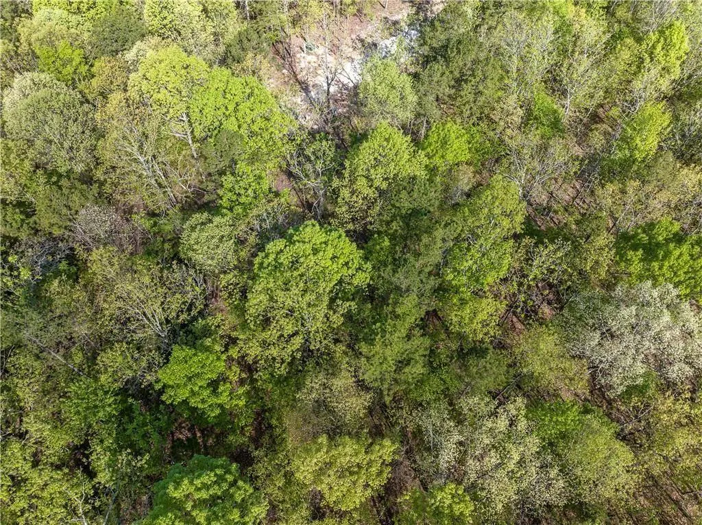 Photo 13 — 50 AJ Cedar Trail, Hochatown, OK 74728