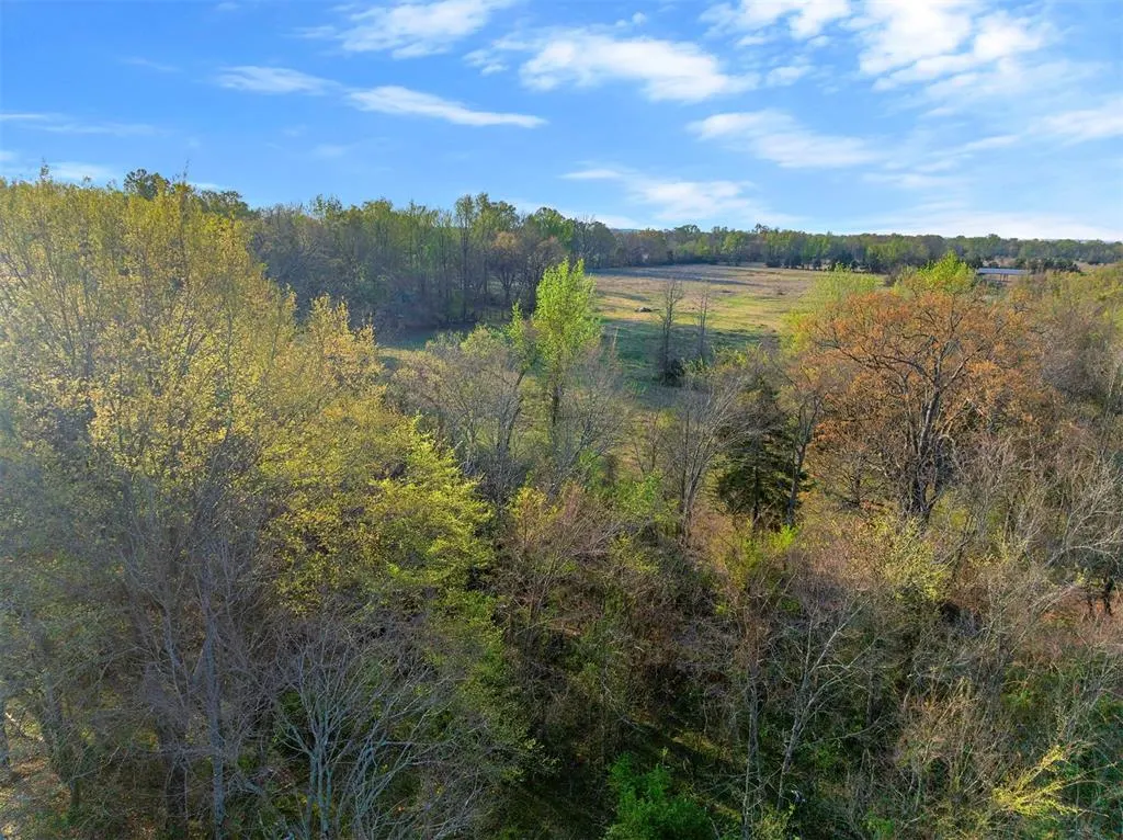 Photo 6 — 2822 Womack Road, Idabel, OK 74745