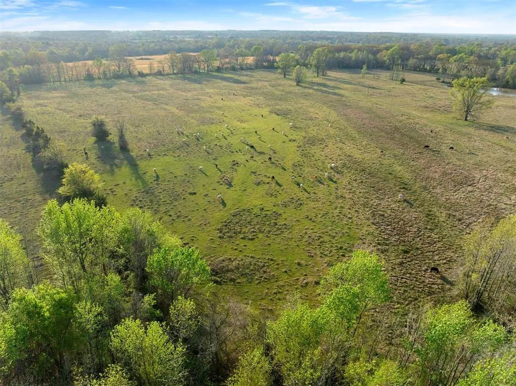 Photo 11 — 2822 Womack Road, Idabel, OK 74745