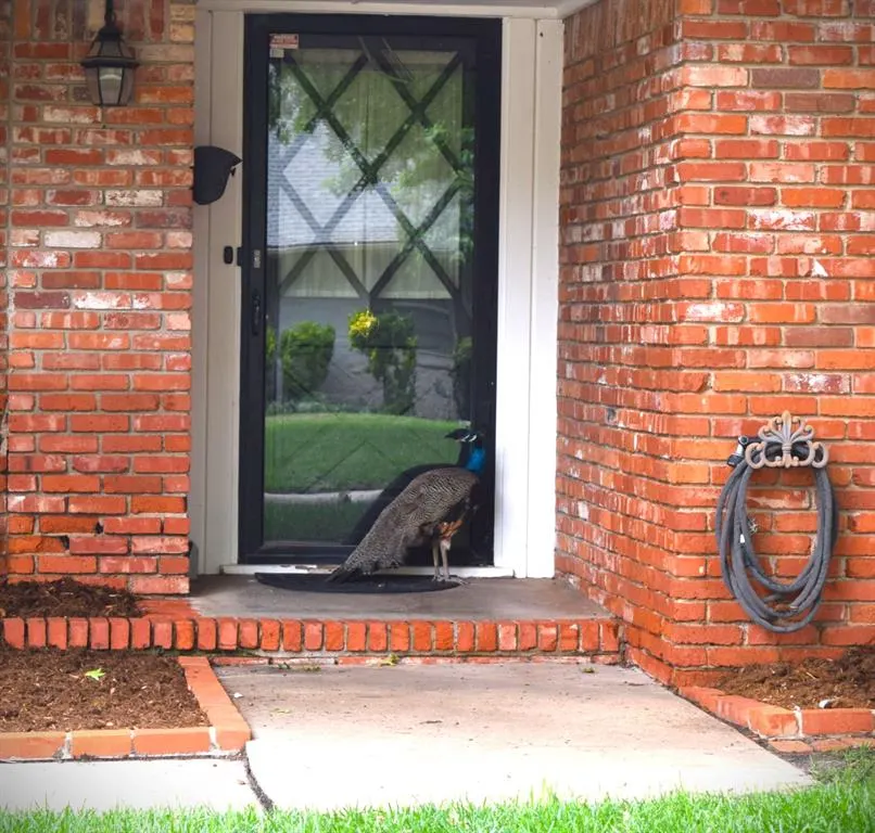 Photo 7 — 4621 NW 34th Street, Oklahoma City, OK 73122