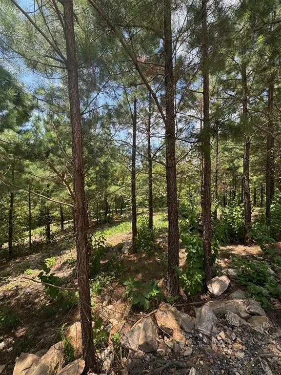 Photo 3 — 155 Charmed Ridge Lane, Broken Bow, OK 74728