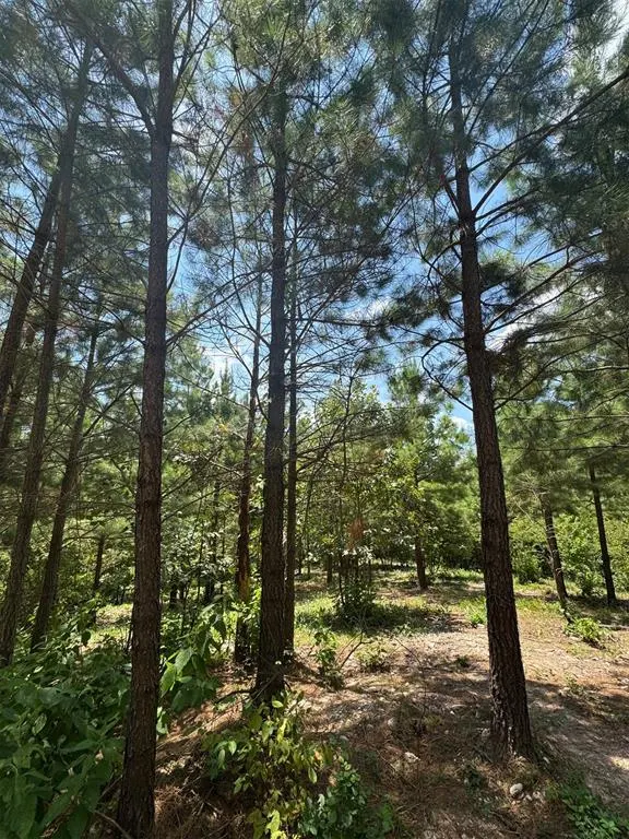 Photo 4 — 155 Charmed Ridge Lane, Broken Bow, OK 74728