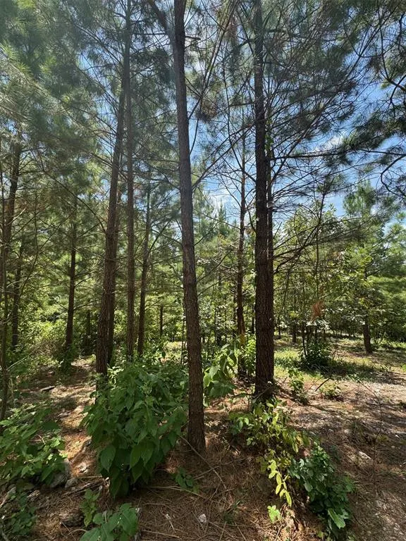 Photo 5 — 155 Charmed Ridge Lane, Broken Bow, OK 74728