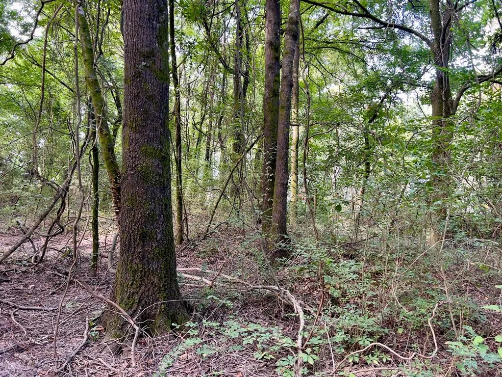 Photo 7 — 10 Sundrop Road, Broken Bow, OK 74728