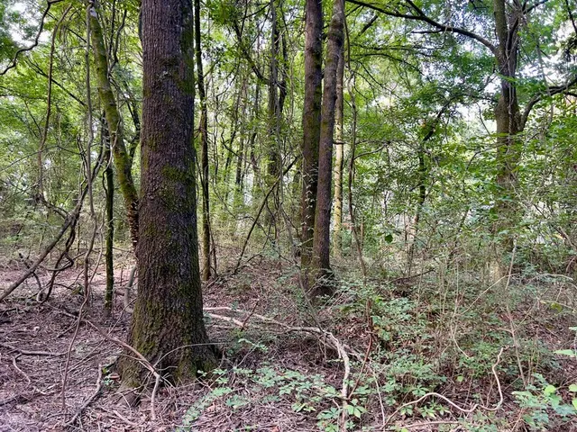 Photo 7 — 10 Sundrop Road, Broken Bow, OK 74728