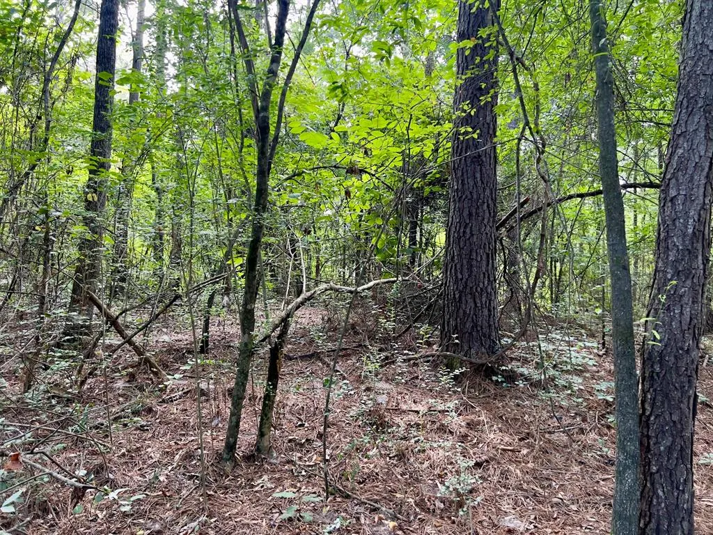 Photo 8 — 10 Sundrop Road, Broken Bow, OK 74728
