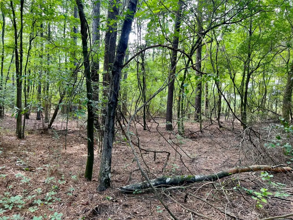 Photo 9 — 10 Sundrop Road, Broken Bow, OK 74728