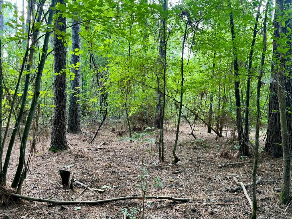 Photo 10 — 10 Sundrop Road, Broken Bow, OK 74728