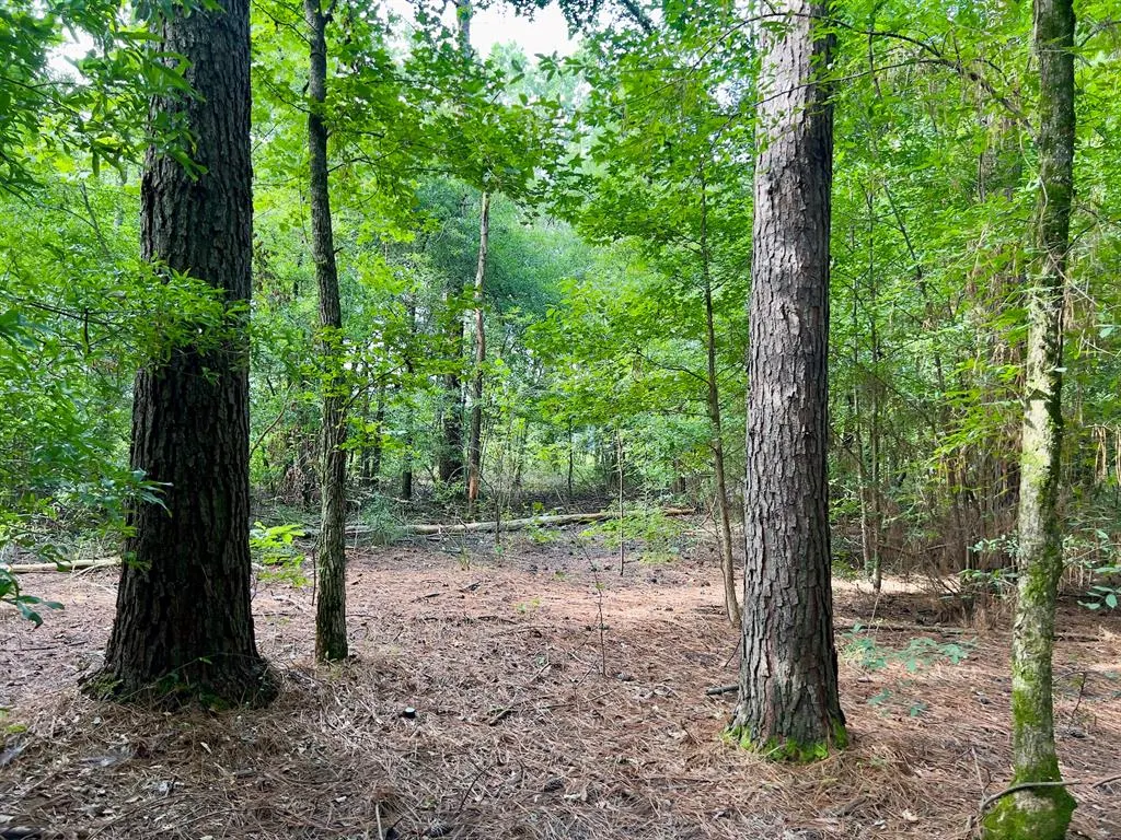 Photo 11 — 10 Sundrop Road, Broken Bow, OK 74728