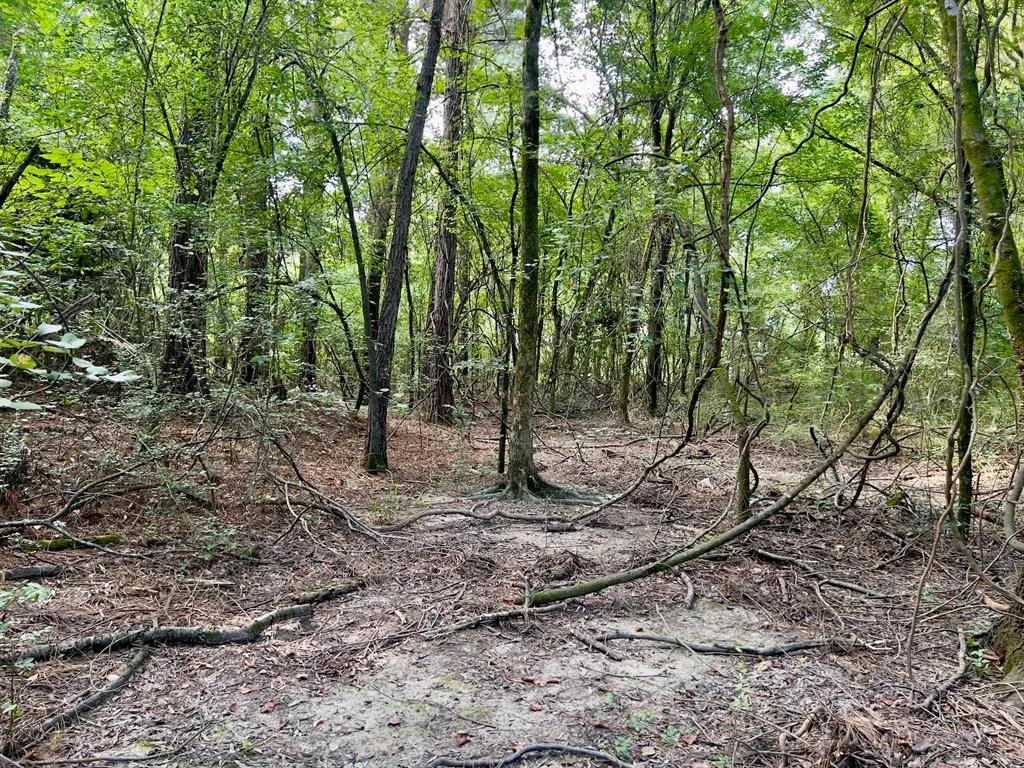 Photo 12 — 10 Sundrop Road, Broken Bow, OK 74728