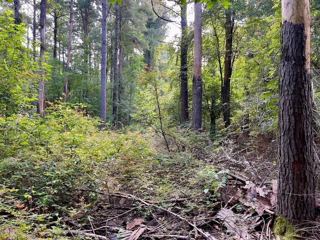 Photo 13 — 10 Sundrop Road, Broken Bow, OK 74728