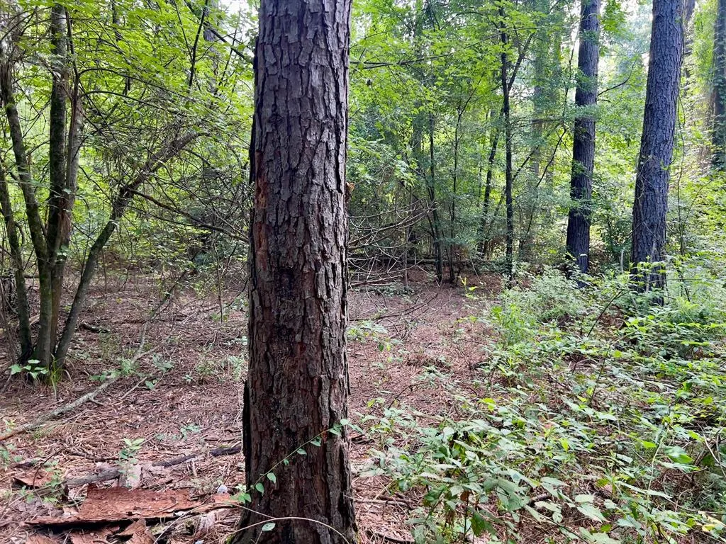 Photo 14 — 10 Sundrop Road, Broken Bow, OK 74728