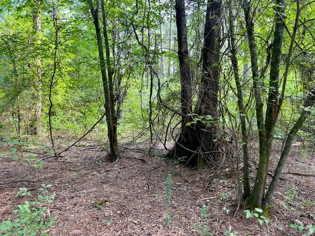 Photo 15 — 10 Sundrop Road, Broken Bow, OK 74728