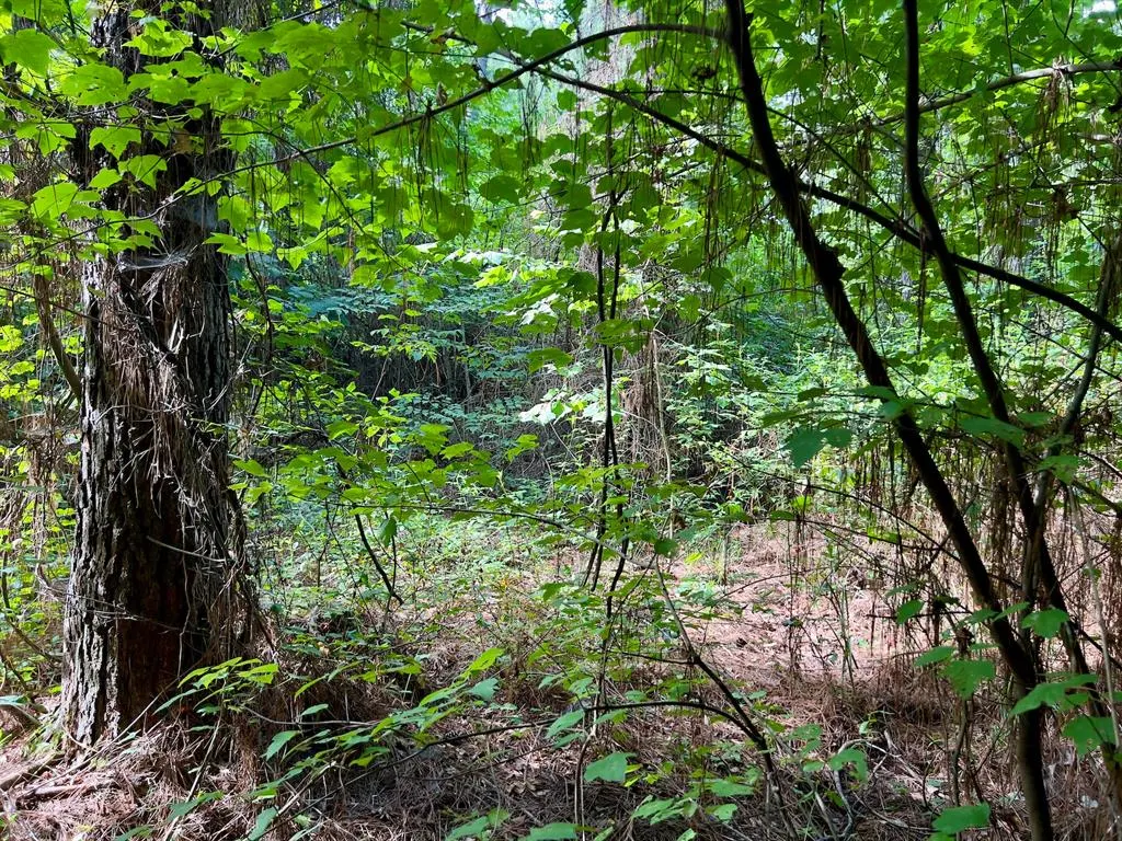 Photo 16 — 10 Sundrop Road, Broken Bow, OK 74728