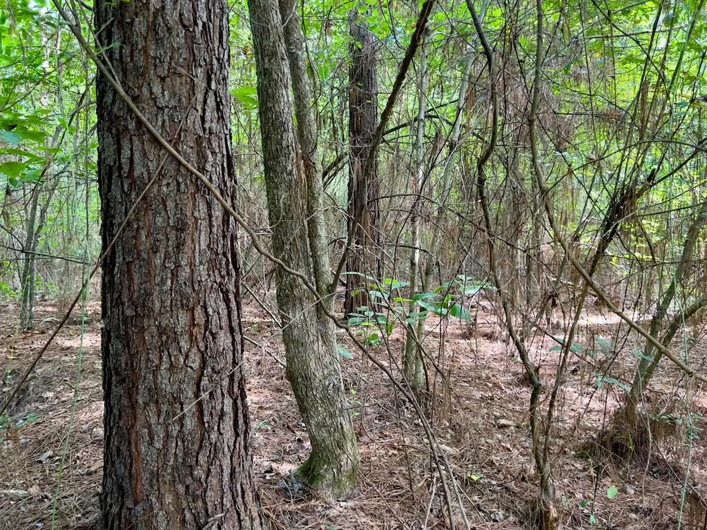 Photo 17 — 10 Sundrop Road, Broken Bow, OK 74728