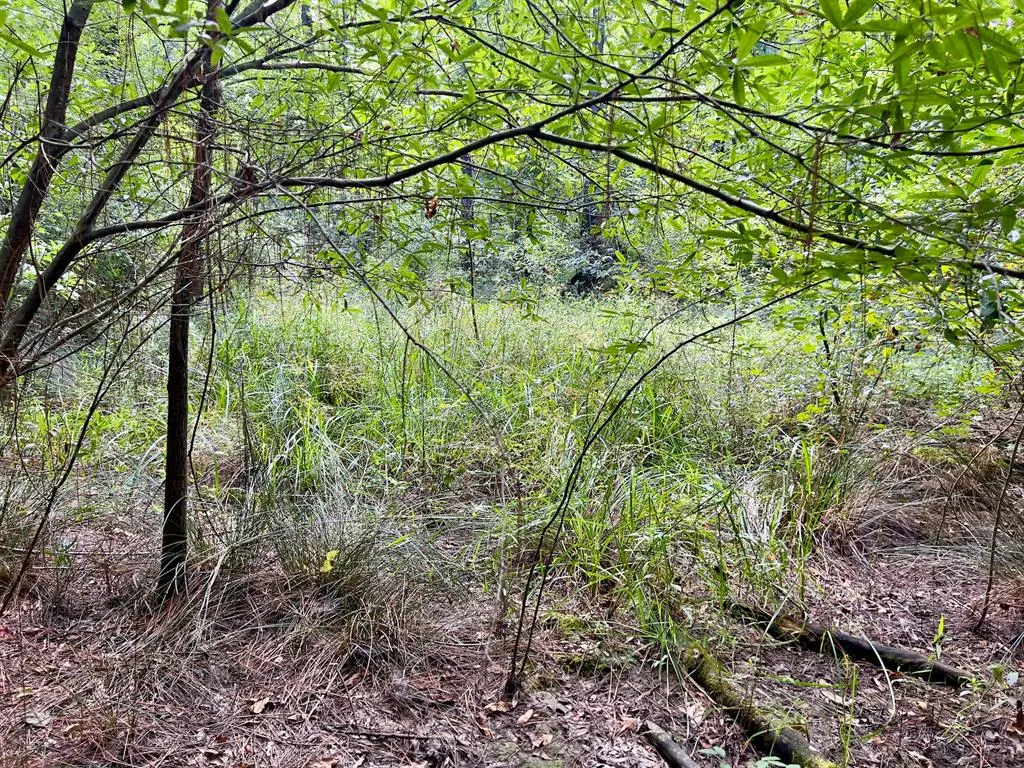 Photo 20 — 10 Sundrop Road, Broken Bow, OK 74728