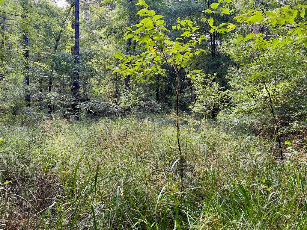 Photo 21 — 10 Sundrop Road, Broken Bow, OK 74728