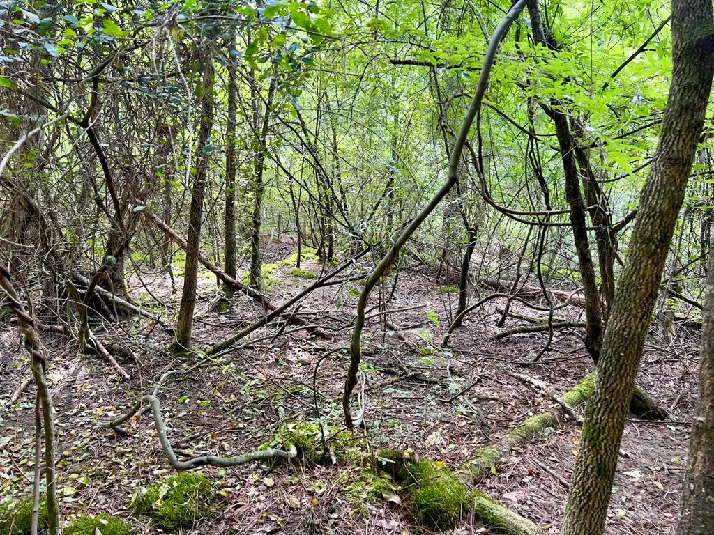 Photo 22 — 10 Sundrop Road, Broken Bow, OK 74728