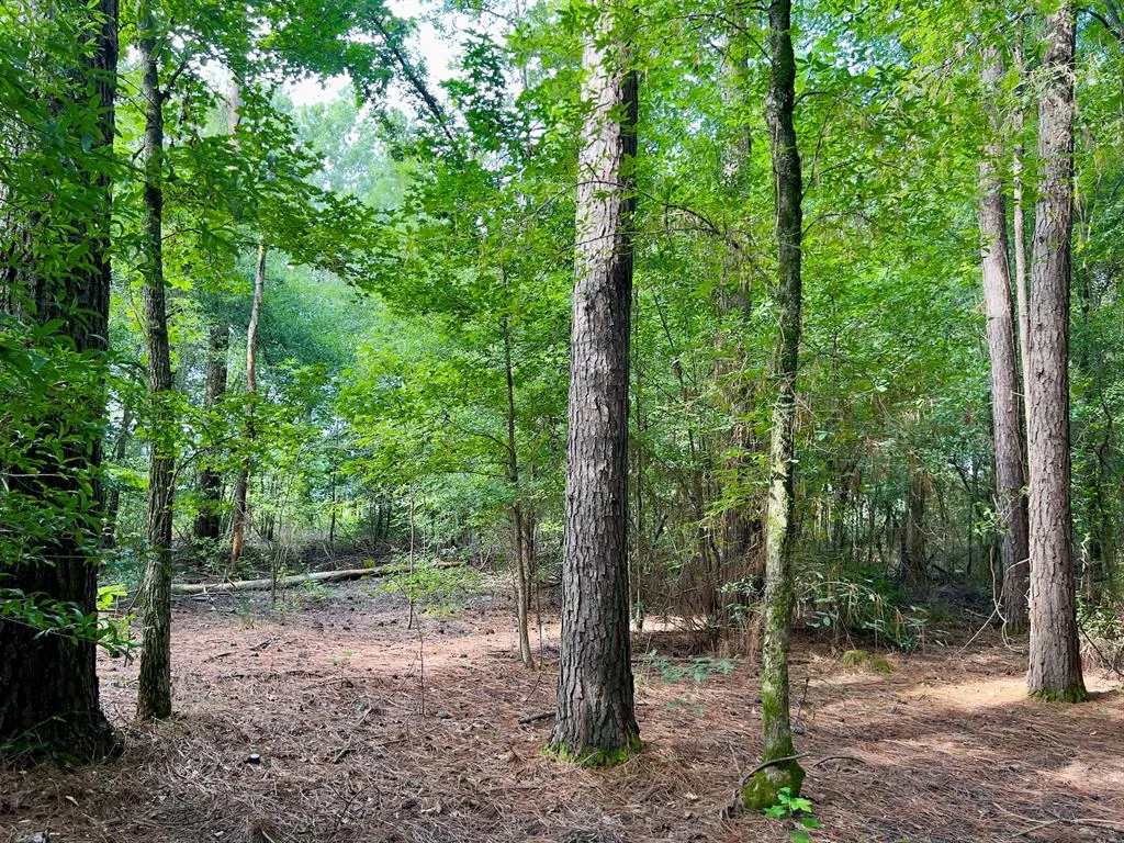 Photo 23 — 10 Sundrop Road, Broken Bow, OK 74728