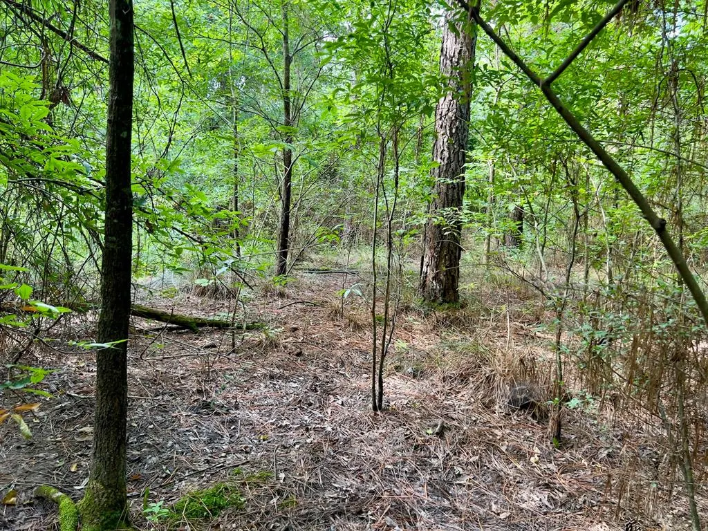 Photo 24 — 10 Sundrop Road, Broken Bow, OK 74728