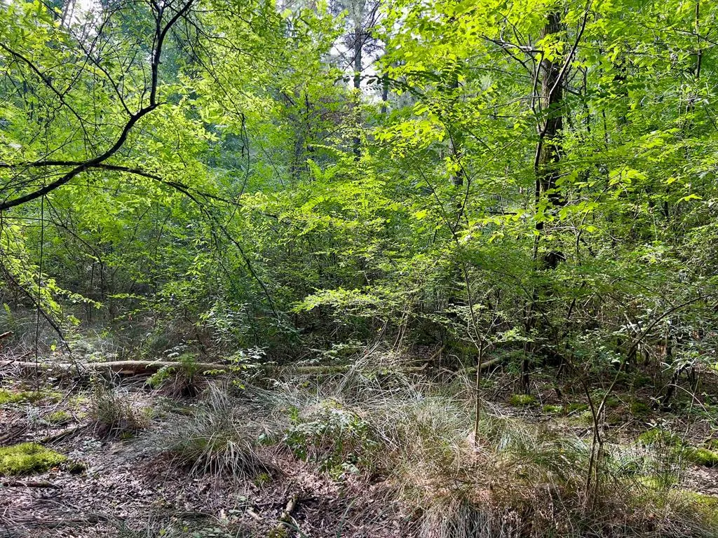 Photo 26 — 10 Sundrop Road, Broken Bow, OK 74728
