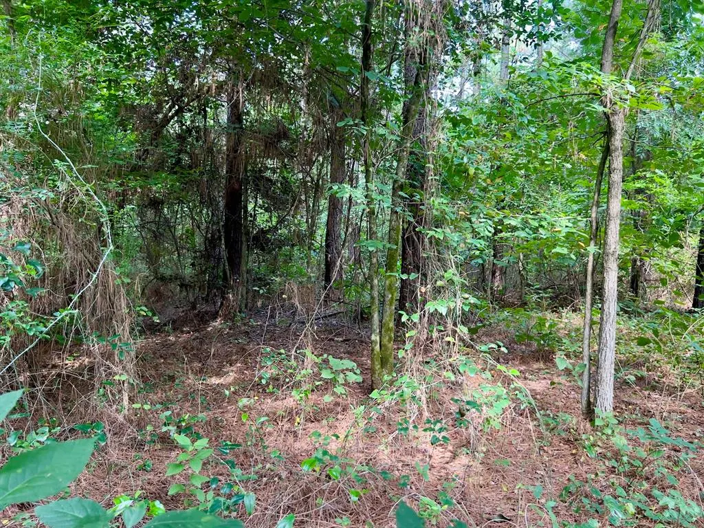 Photo 27 — 10 Sundrop Road, Broken Bow, OK 74728