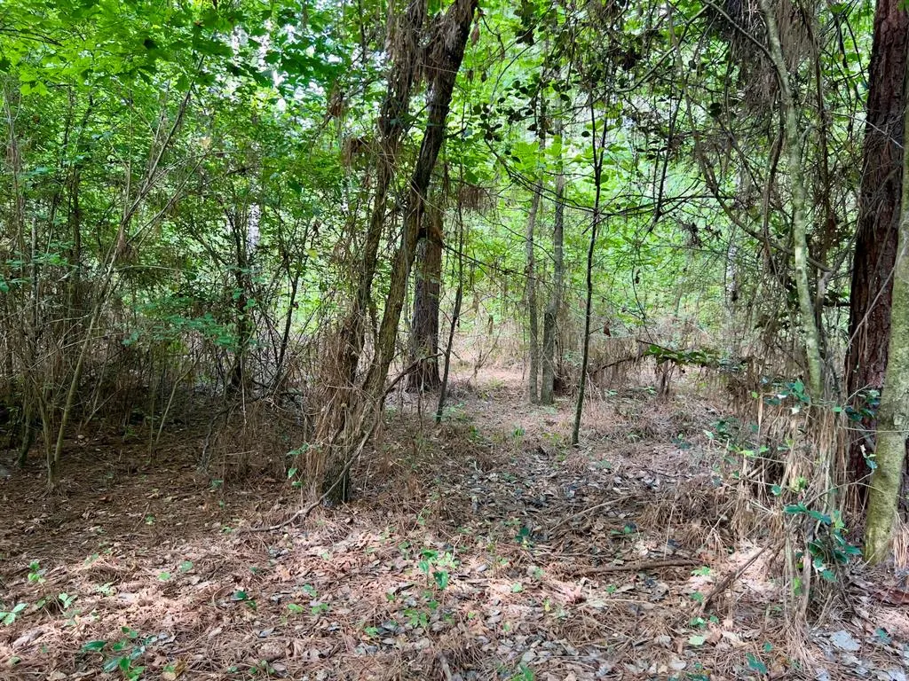 Photo 28 — 10 Sundrop Road, Broken Bow, OK 74728
