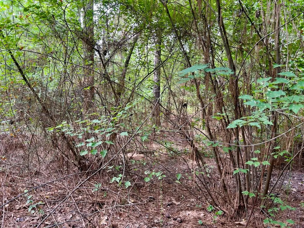 Photo 29 — 10 Sundrop Road, Broken Bow, OK 74728