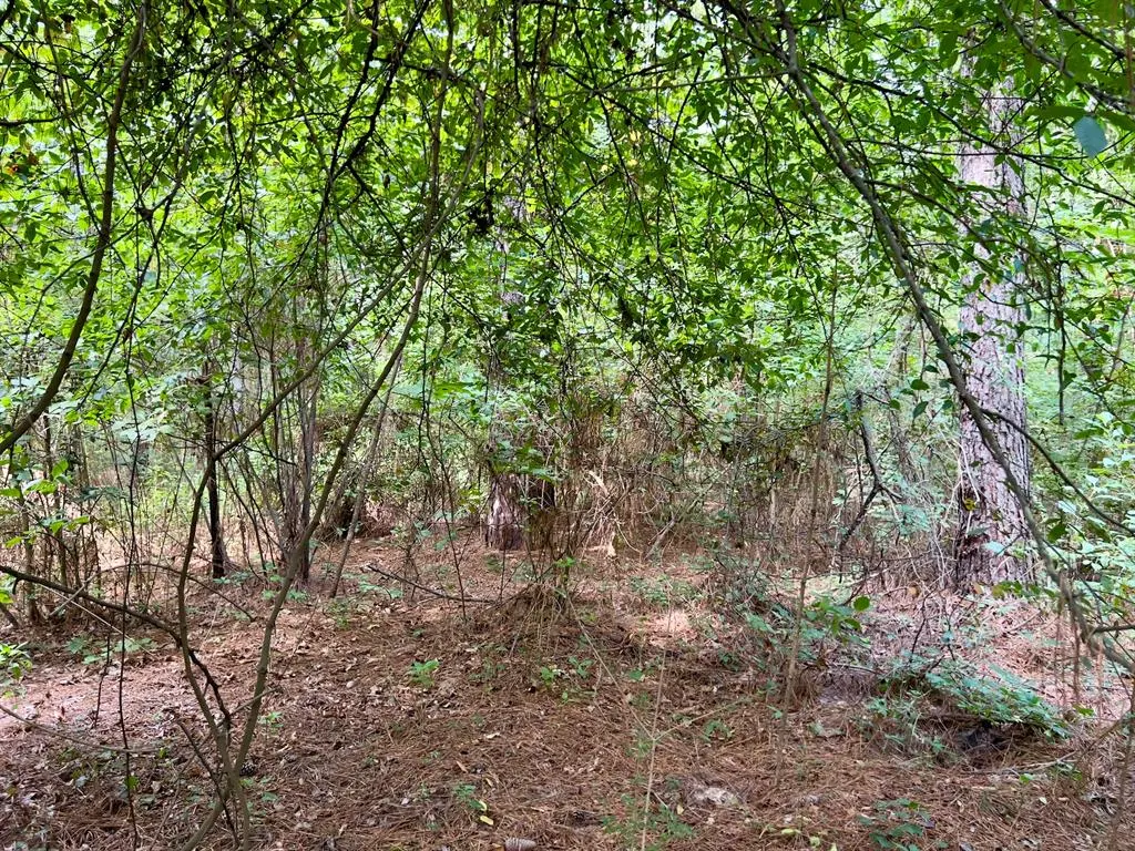 Photo 31 — 10 Sundrop Road, Broken Bow, OK 74728