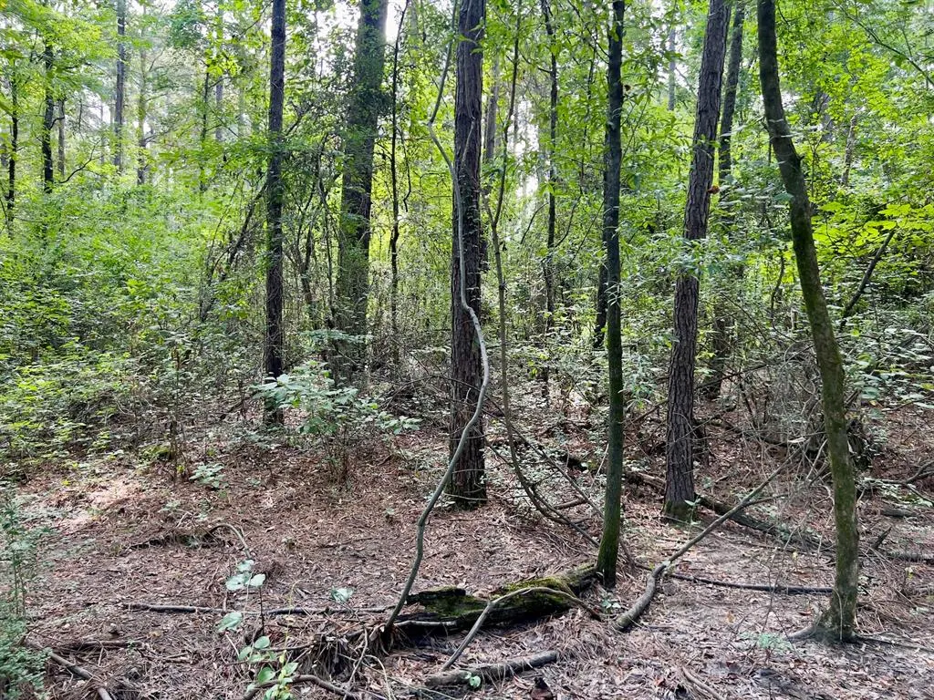 Photo 32 — 10 Sundrop Road, Broken Bow, OK 74728
