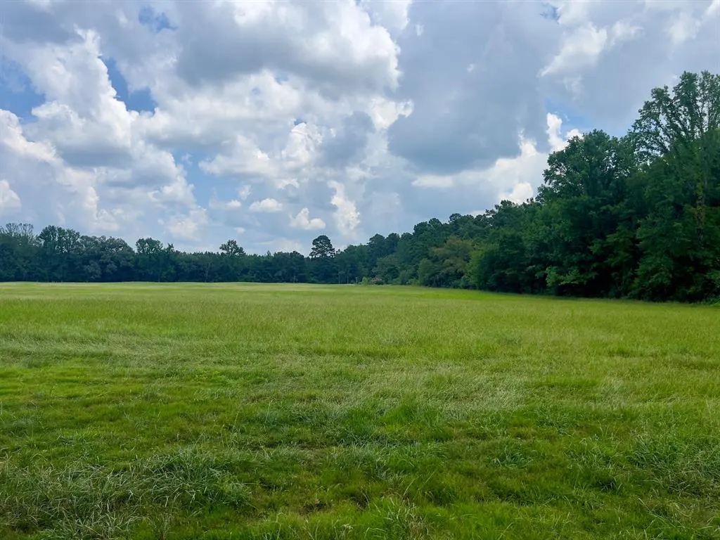 Photo 10 — 110 Ferguson Road, Haworth, OK 74740