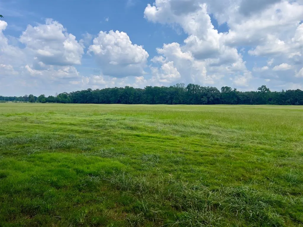Photo 11 — 110 Ferguson Road, Haworth, OK 74740