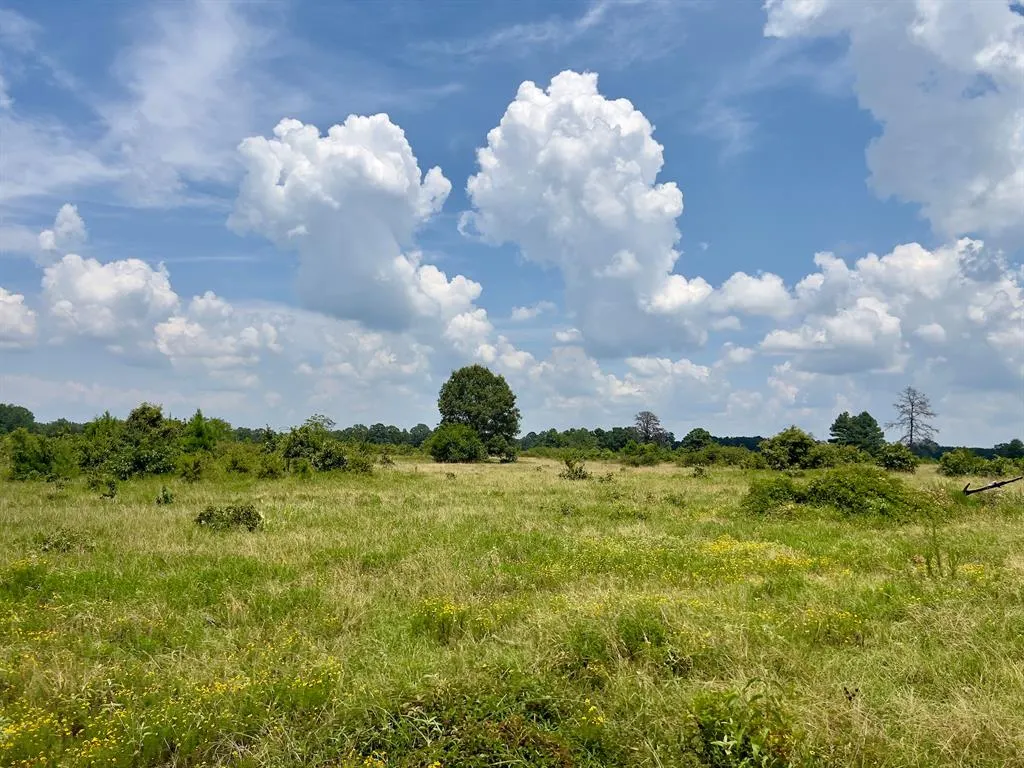 Photo 14 — 110 Ferguson Road, Haworth, OK 74740
