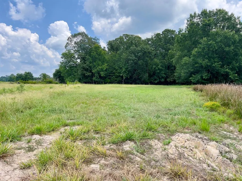 Photo 16 — 110 Ferguson Road, Haworth, OK 74740